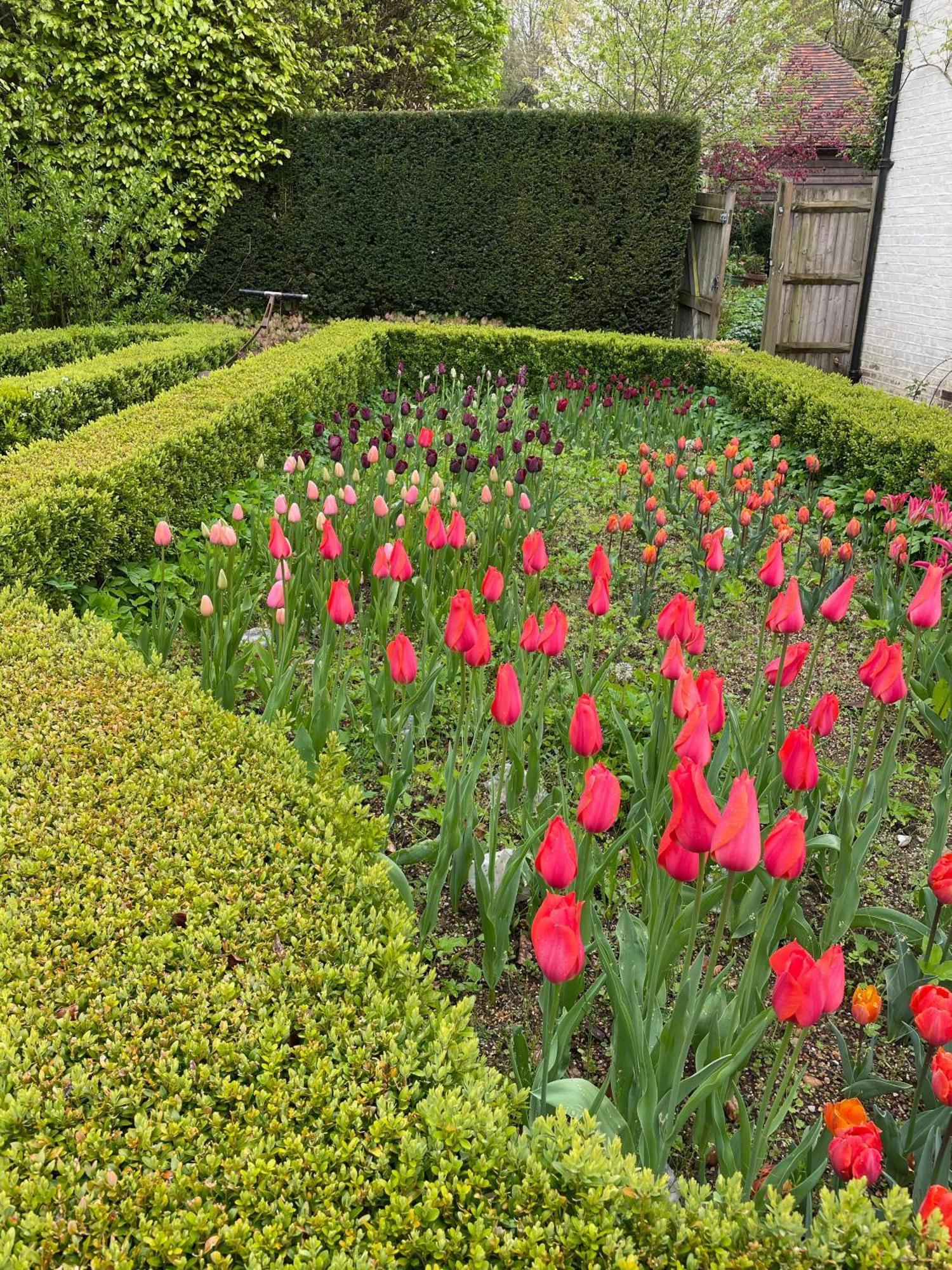 Bartley Mill Farmhouse Wadhurst Zewnętrze zdjęcie